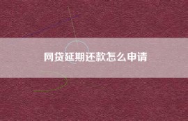 网贷延期还款怎么申请