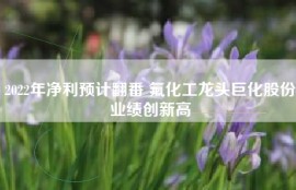 2022年净利预计翻番 氟化工龙头巨化股份业绩创新高