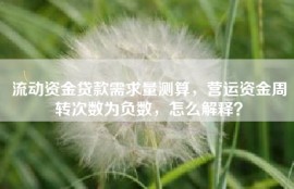 流动资金贷款需求量测算，营运资金周转次数为负数，怎么解释？