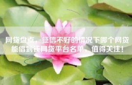 网贷盘点，征信不好的情况下哪个网贷能借到钱网贷平台名单，值得关注！