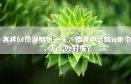 各种网贷逾期第一天，催收电话就10来个，怎么办好慌？