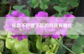 征信不好能下款的网贷有哪些?