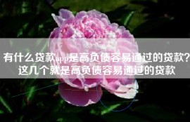 有什么贷款app是高负债容易通过的贷款？这几个就是高负债容易通过的贷款