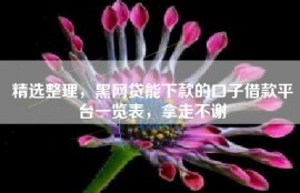 精选整理，黑网贷能下款的口子借款平台一览表，拿走不谢