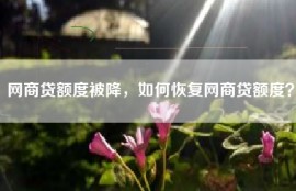网商贷额度被降，如何恢复网商贷额度？