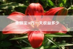 余额宝30万一天收益多少