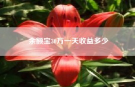 余额宝30万一天收益多少