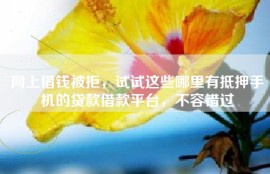 网上借钱被拒，试试这些哪里有抵押手机的贷款借款平台，不容错过