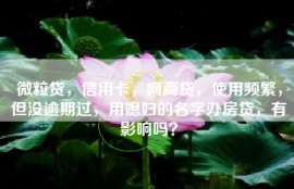 微粒贷，信用卡，网商贷，使用频繁，但没逾期过，用媳妇的名字办房贷，有影响吗？