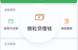 借钱平台容易通过的小额贷款产品，微粒贷你了解过吗