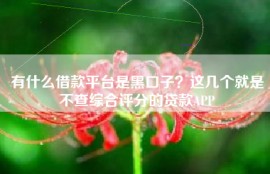 有什么借款平台是黑口子？这几个就是不查综合评分的贷款APP