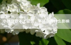 小额贷款不上征信，不还款有什么影响