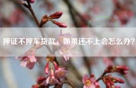 押证不押车贷款，如果还不上会怎么办？