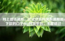 网上借钱被拒，试试这些网黑有逾期能下款的口子2022网贷平台，不容错过