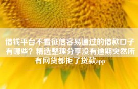 借钱平台不看征信容易通过的借款口子有哪些？精选整理分享没有逾期突然所有网贷都拒了贷款app