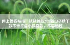 网上借钱被拒，试试这些2022新口子秒下款不查征信小额贷款，不容错过