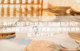 有什么贷款平台是黑户当前逾期还有什么网贷能下？这几个就是2022网黑有逾期能下款的口子