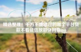 精选整理！千万不能错过的哪个平台贷款不看征信放款快网贷app