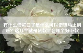 有什么借款口子是什么可以借钱马上到账？这几个就是贷款平台哪个好下款