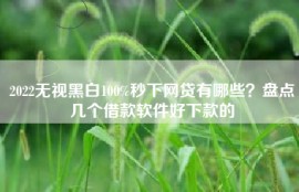 2022无视黑白100%秒下网贷有哪些？盘点几个借款软件好下款的