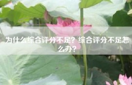 为什么综合评分不足？综合评分不足怎么办？