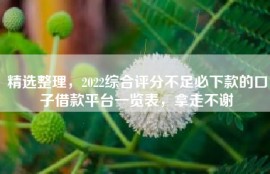 精选整理，2022综合评分不足必下款的口子借款平台一览表，拿走不谢