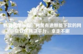 网贷名单一览，网黑有逾期能下款的网贷软件网贷平台，拿走不谢