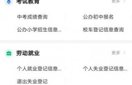 创业担保贷款申请服务，个人贷最高50万元吗？