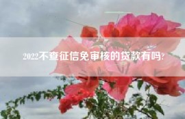 2022不查征信免审核的贷款有吗?