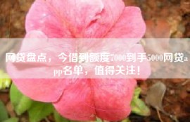 网贷盘点，今借到额度7000到手5000网贷app名单，值得关注！