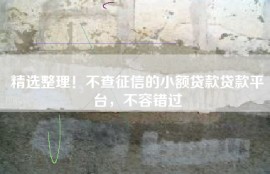 精选整理！不查征信的小额贷款贷款平台，不容错过