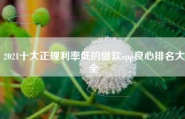 2021十大正规利率低的借款app良心排名大全