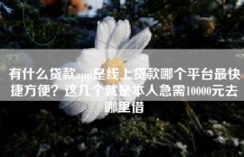 有什么贷款app是线上贷款哪个平台最快捷方便？这几个就是本人急需10000元去哪里借