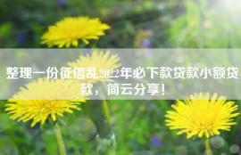 整理一份征信乱2022年必下款贷款小额贷款，简云分享！
