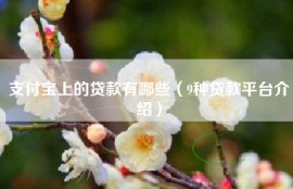 支付宝上的贷款有哪些（9种贷款平台介绍）