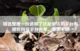 精选整理一份逾期了还能借钱的平台有哪些网贷平台名单，拿走不谢