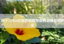 对于12月20日加息活期存款利息降息的评论