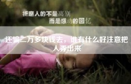 还骗二万多块钱去，谁有什么好注意把人弄出来