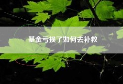 基金亏损了如何去补救