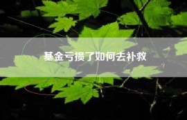 基金亏损了如何去补救