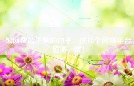 黑网贷能下款的口子，这几个网贷平台值得一试！