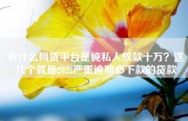 有什么网贷平台是纯私人放款十万？这几个就是2022严重逾期必下款的贷款