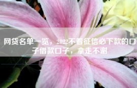 网贷名单一览，2022不看征信必下款的口子借款口子，拿走不谢
