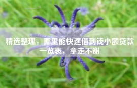 精选整理，哪里能快速借到钱小额贷款一览表，拿走不谢