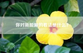 你对新能源的看法是什么？