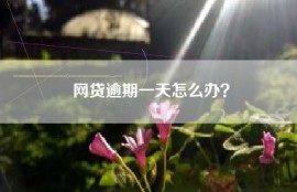 网贷逾期一天怎么办？