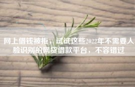 网上借钱被拒，试试这些2022年不需要人脸识别的网贷借款平台，不容错过