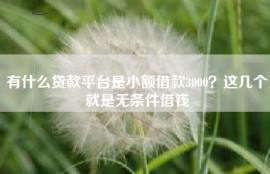 有什么贷款平台是小额借款3000？这几个就是无条件借钱
