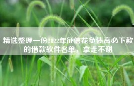 精选整理一份2022年征信花负债高必下款的借款软件名单，拿走不谢