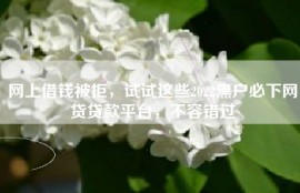 网上借钱被拒，试试这些2022黑户必下网贷贷款平台，不容错过